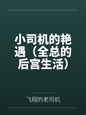 小司机的艳遇(全总的后宫生活) 小司机的艳遇(全总的后宫生活)