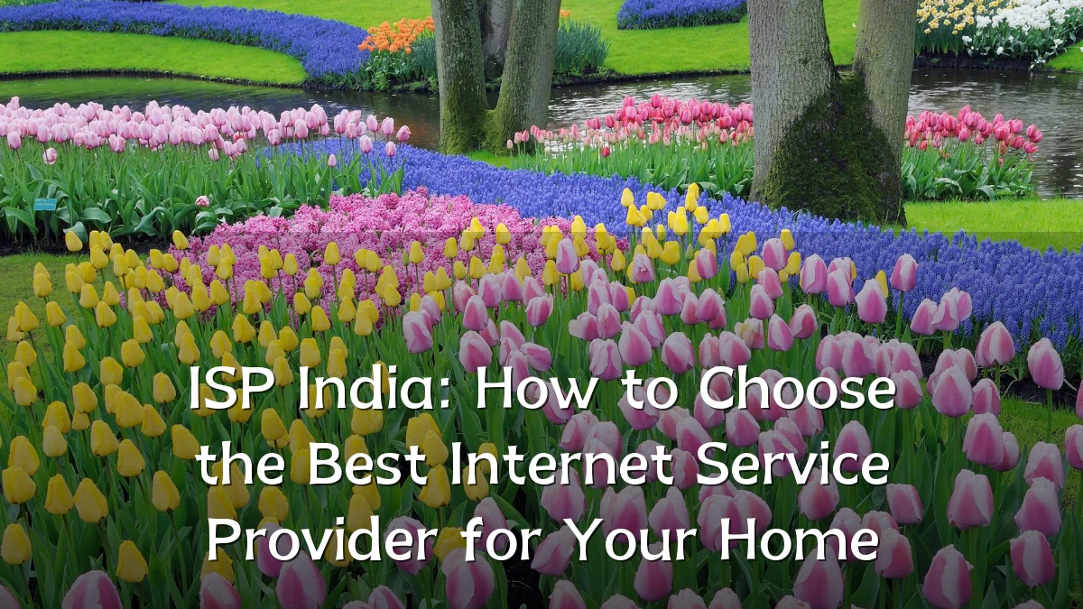 ISP India: How to Choose the Best Internet Service Provider for Your Home