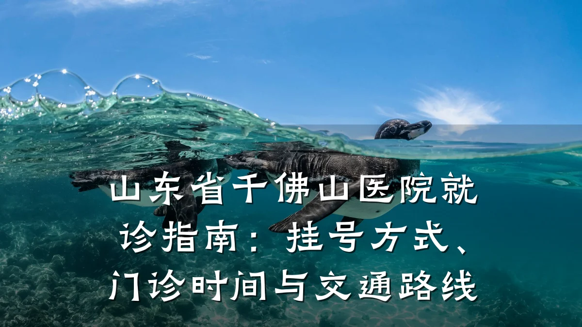 山东省千佛山医院就诊指南：挂号方式、门诊时间与交通路线