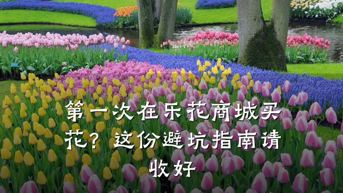 第一次在乐花商城买花？这份避坑指南请收好