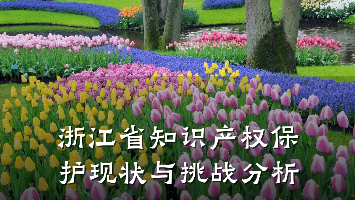 浙江省知识产权保护现状与挑战分析