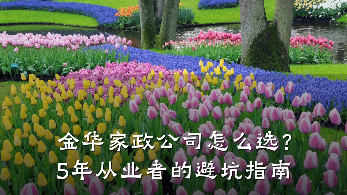 金华家政公司怎么选?5年从业者的避坑指南