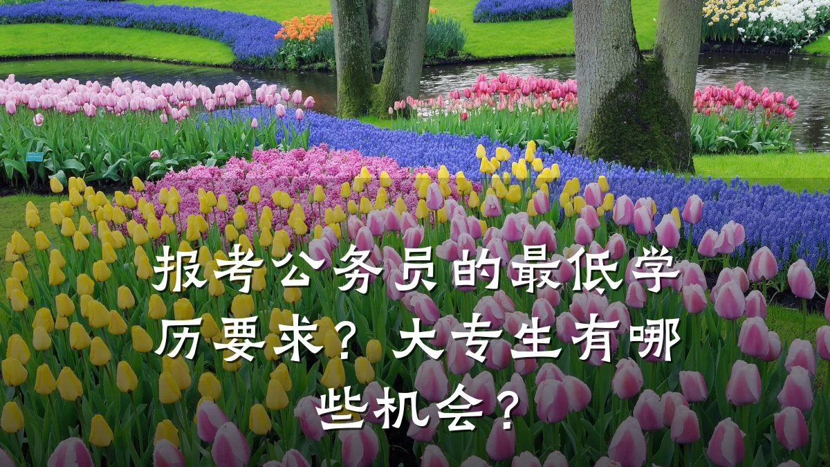 报考公务员的最低学历要求?大专生有哪些机会?