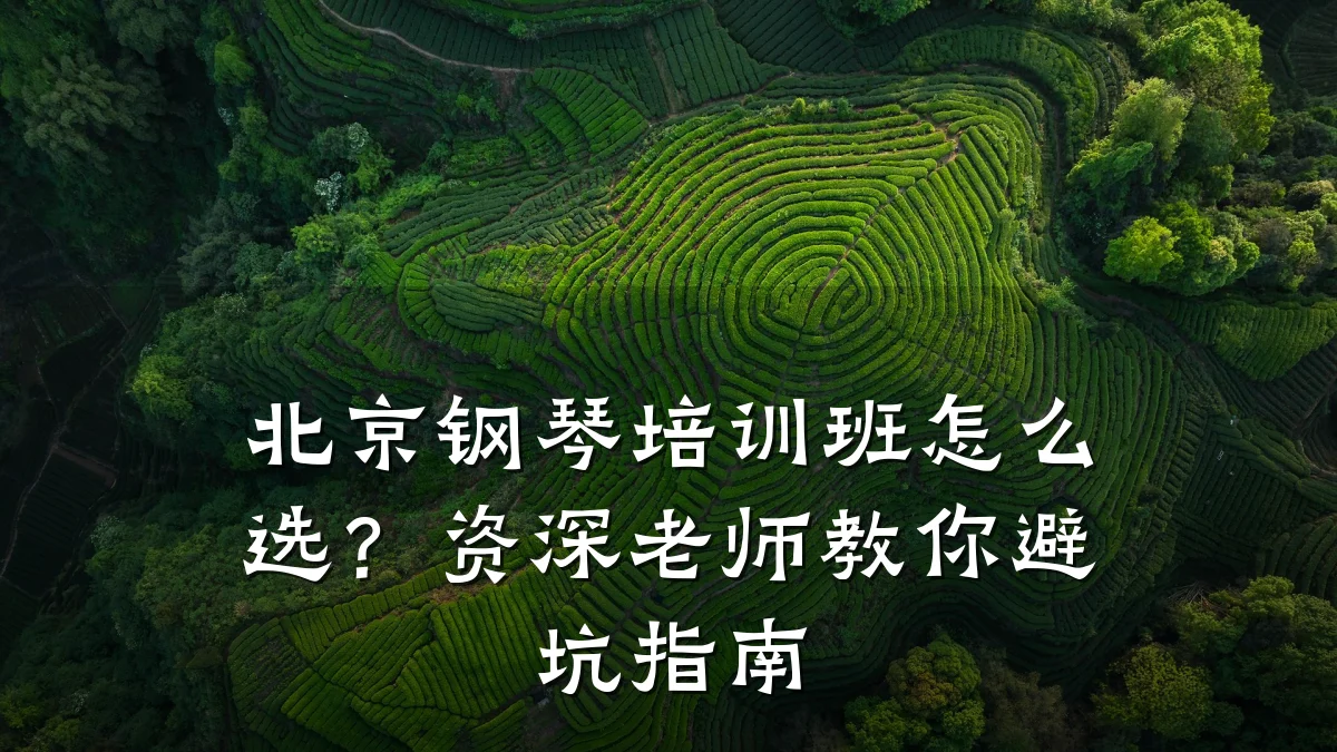 北京钢琴培训班怎么选？资深老师教你避坑指南