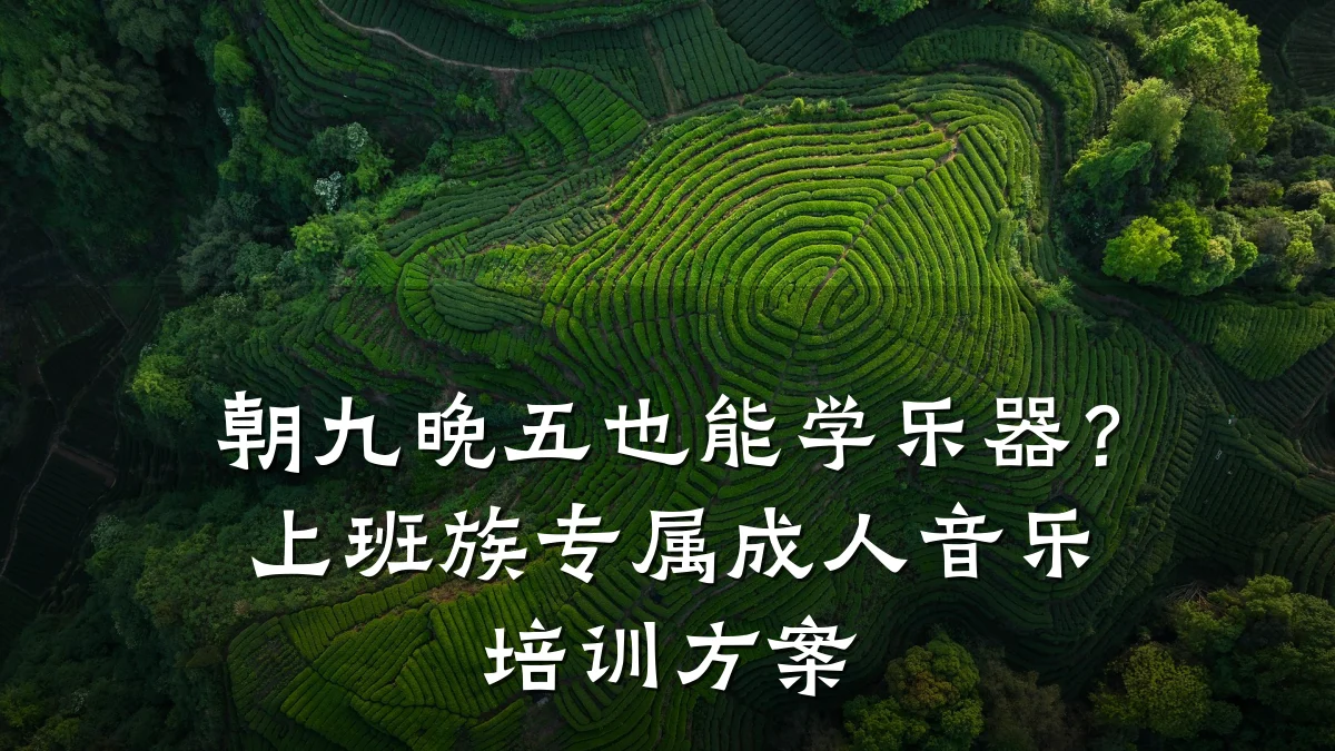 朝九晚五也能学乐器?上班族专属成人音乐培训方案