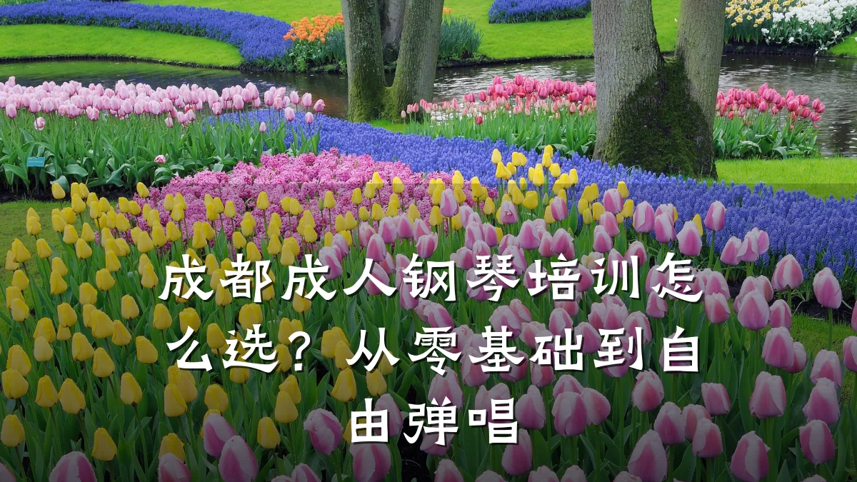 成都成人钢琴培训怎么选?从零基础到自由弹唱