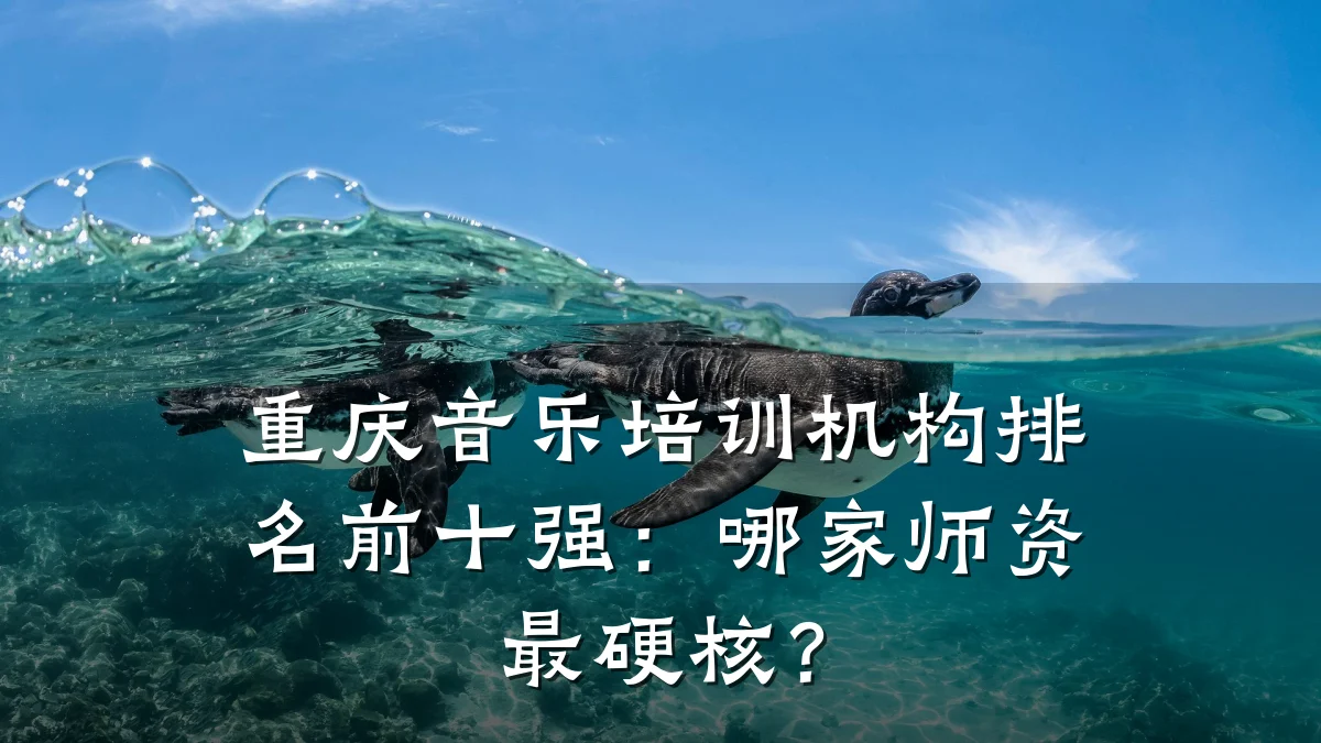 重庆音乐培训机构排名前十强:哪家师资最硬核?