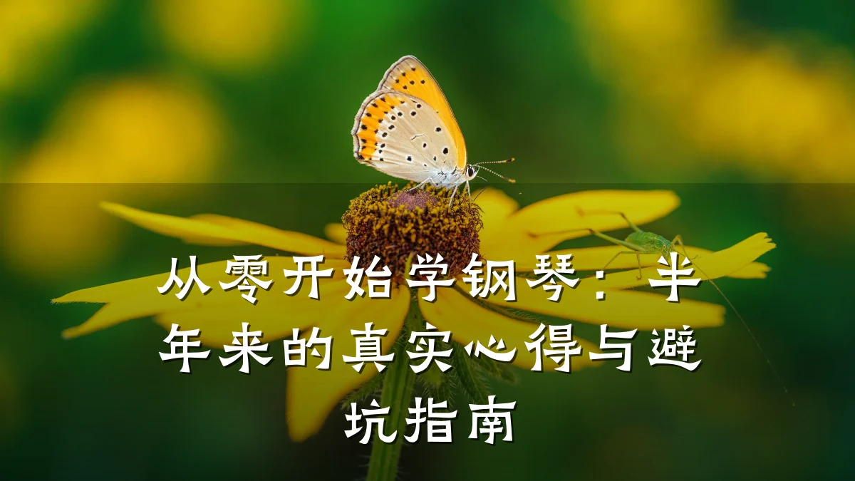 从零开始学钢琴:半年来的真实心得与避坑指南