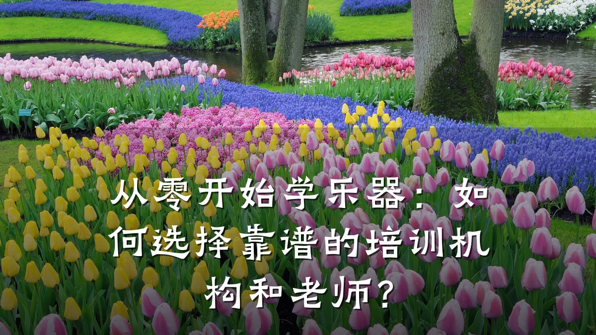 从零开始学乐器:如何选择靠谱的培训机构和老师?