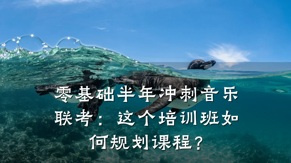 零基础半年冲刺音乐联考:这个培训班如何规划课程?