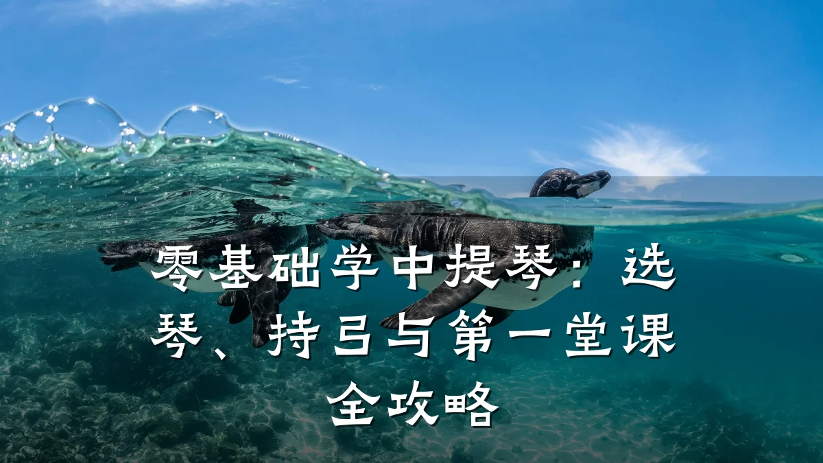 零基础学中提琴:选琴、持弓与第一堂课全攻略