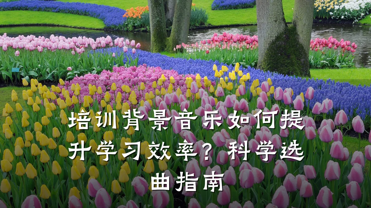 培训背景音乐如何提升学习效率？科学选曲指南