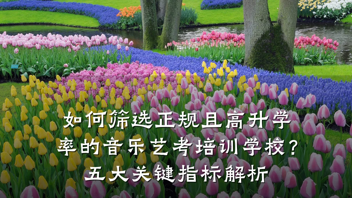 如何筛选正规且高升学率的音乐艺考培训学校?五大关键指标解析