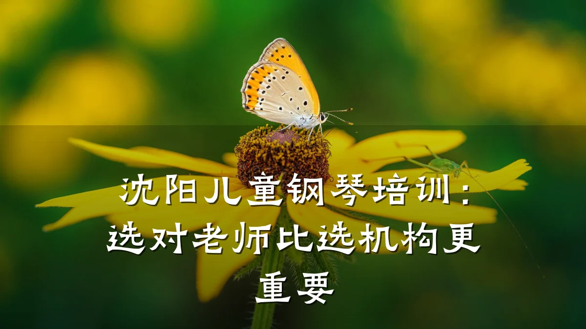 沈阳儿童钢琴培训：选对老师比选机构更重要