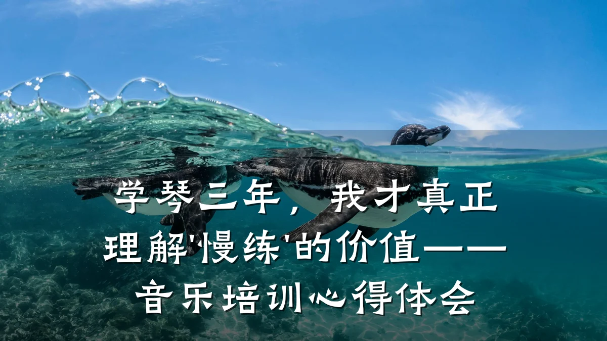 学琴三年,我才真正理解'慢练'的价值——音乐培训心得体会