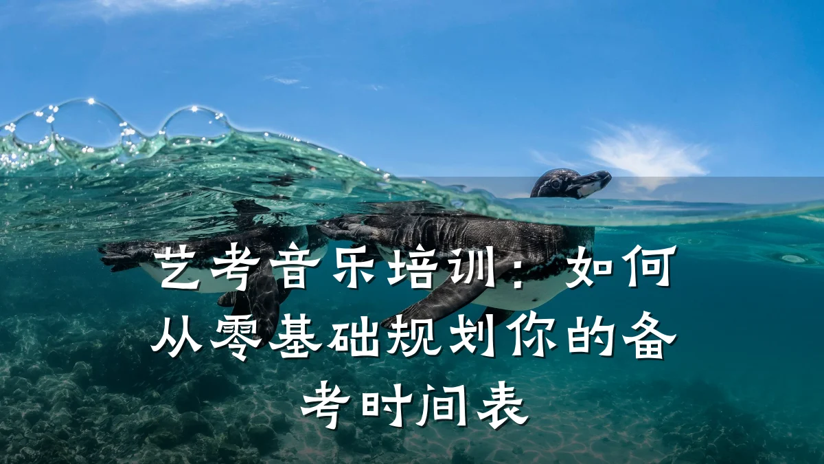 艺考音乐培训:如何从零基础规划你的备考时间表