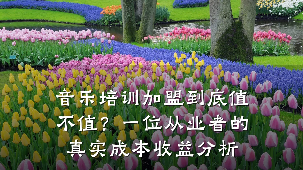 音乐培训加盟到底值不值?一位从业者的真实成本收益分析