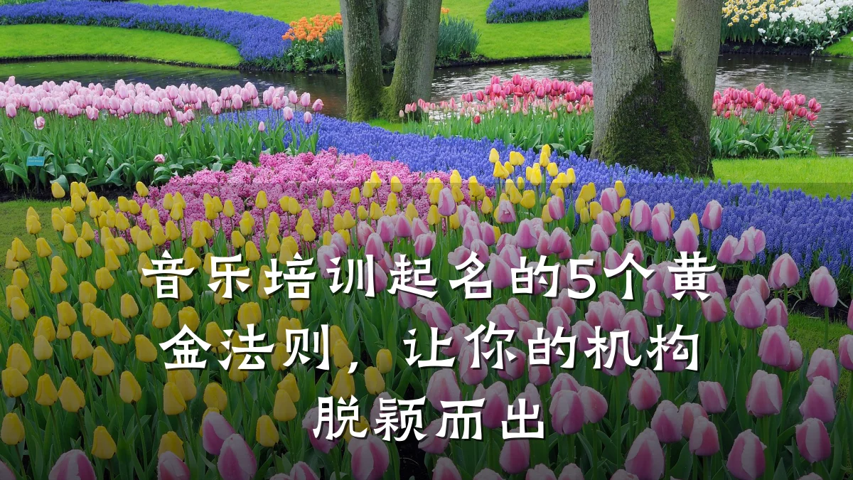 音乐培训起名的5个黄金法则,让你的机构脱颖而出