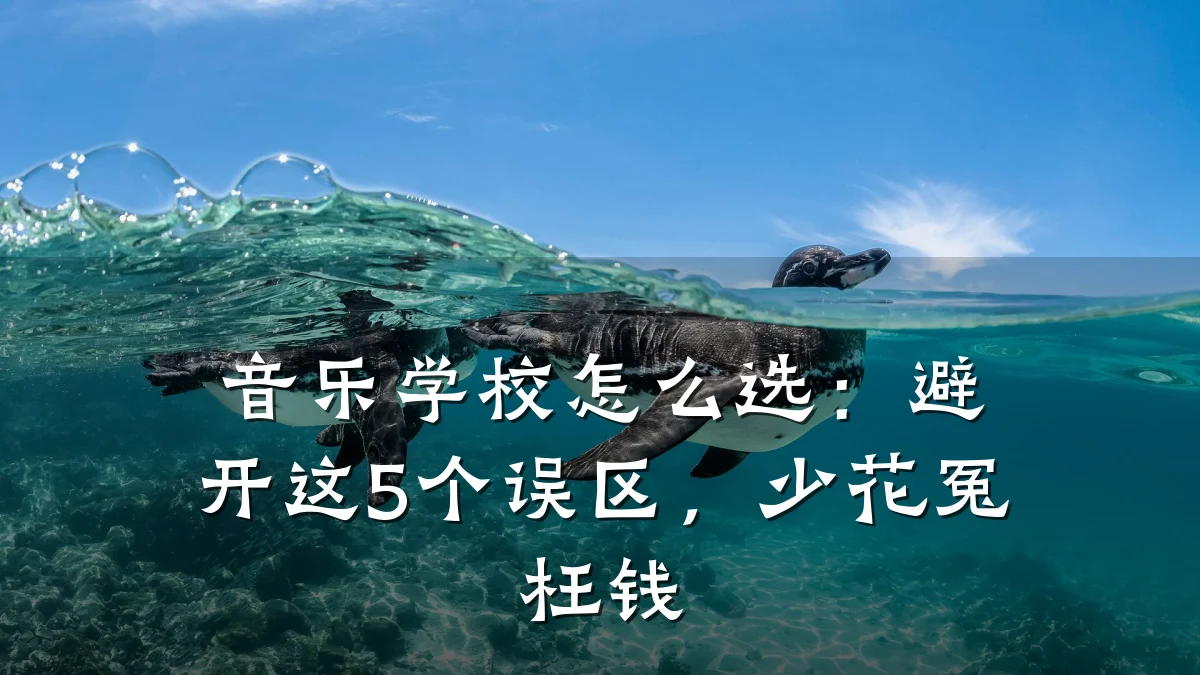 音乐学校怎么选:避开这5个误区,少花冤枉钱