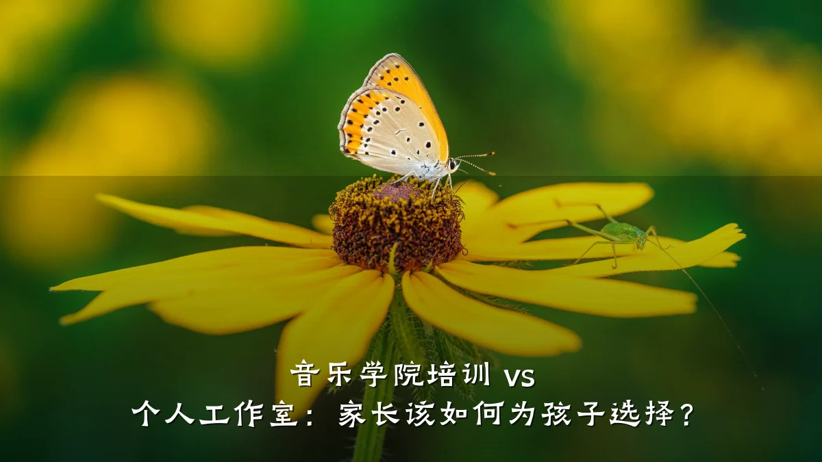 音乐学院培训 vs 个人工作室：家长该如何为孩子选择？