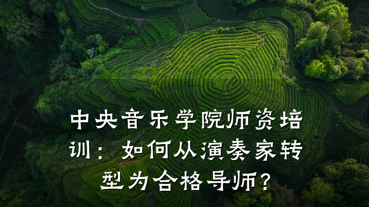 中央音乐学院师资培训：如何从演奏家转型为合格导师？