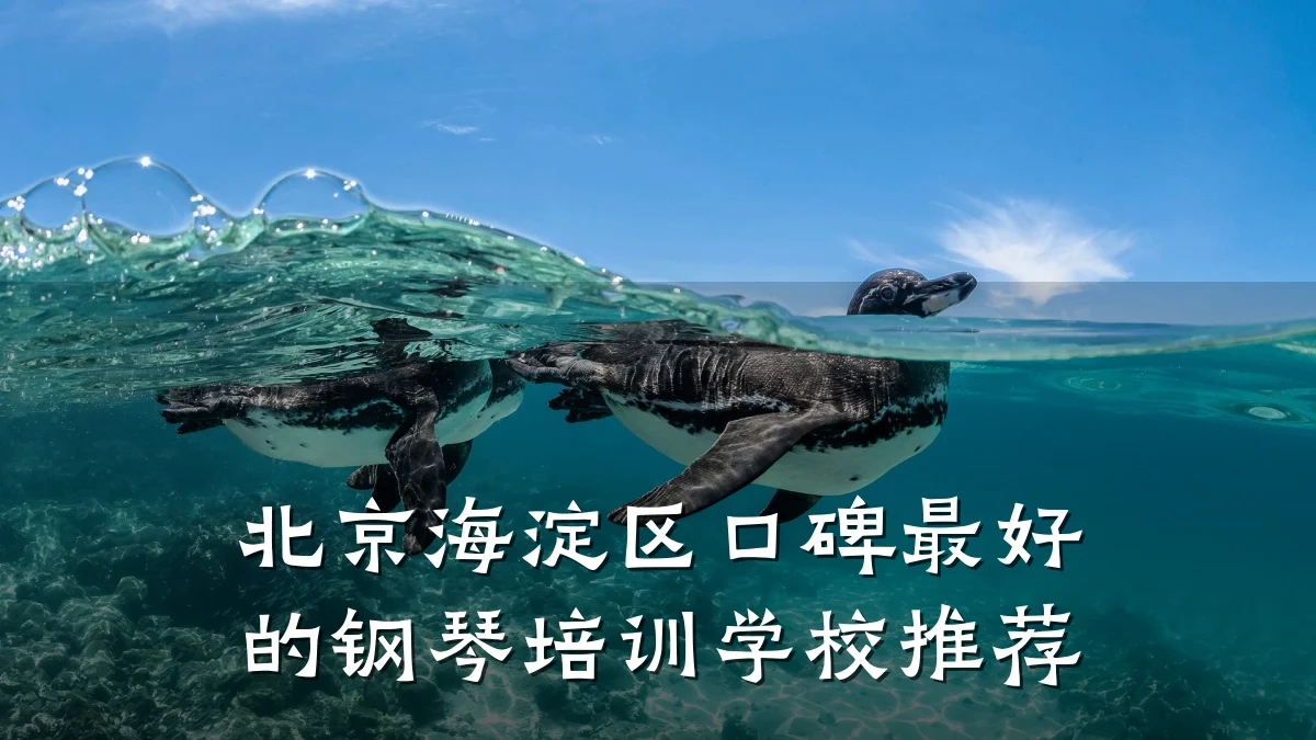 北京海淀区口碑最好的钢琴培训学校推荐