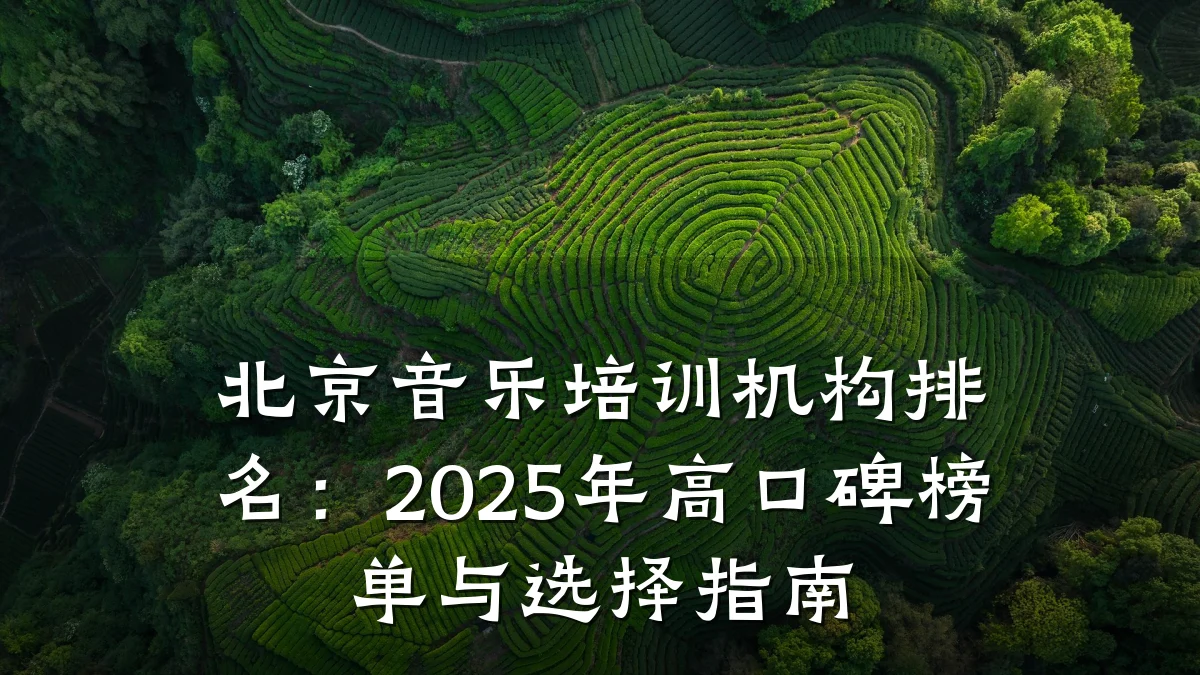 北京音乐培训机构排名:2025年高口碑榜单与选择指南