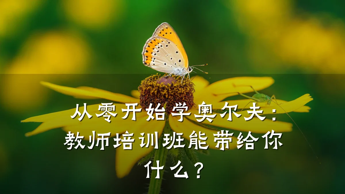 从零开始学奥尔夫:教师培训班能带给你什么?