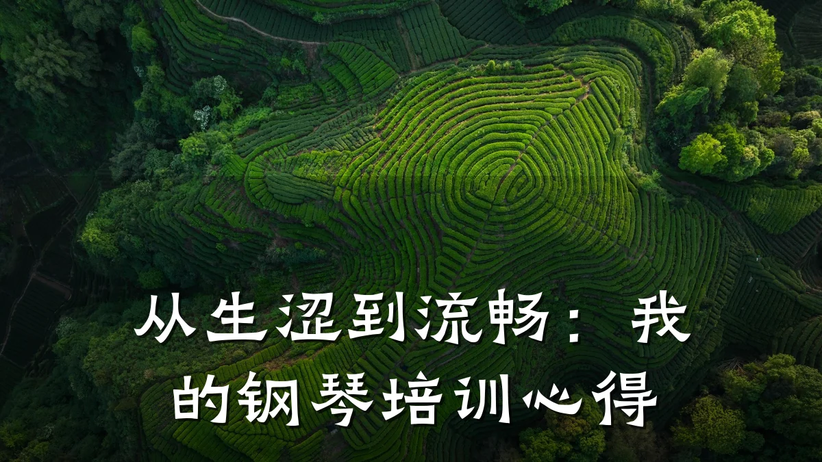 从生涩到流畅:我的钢琴培训心得
