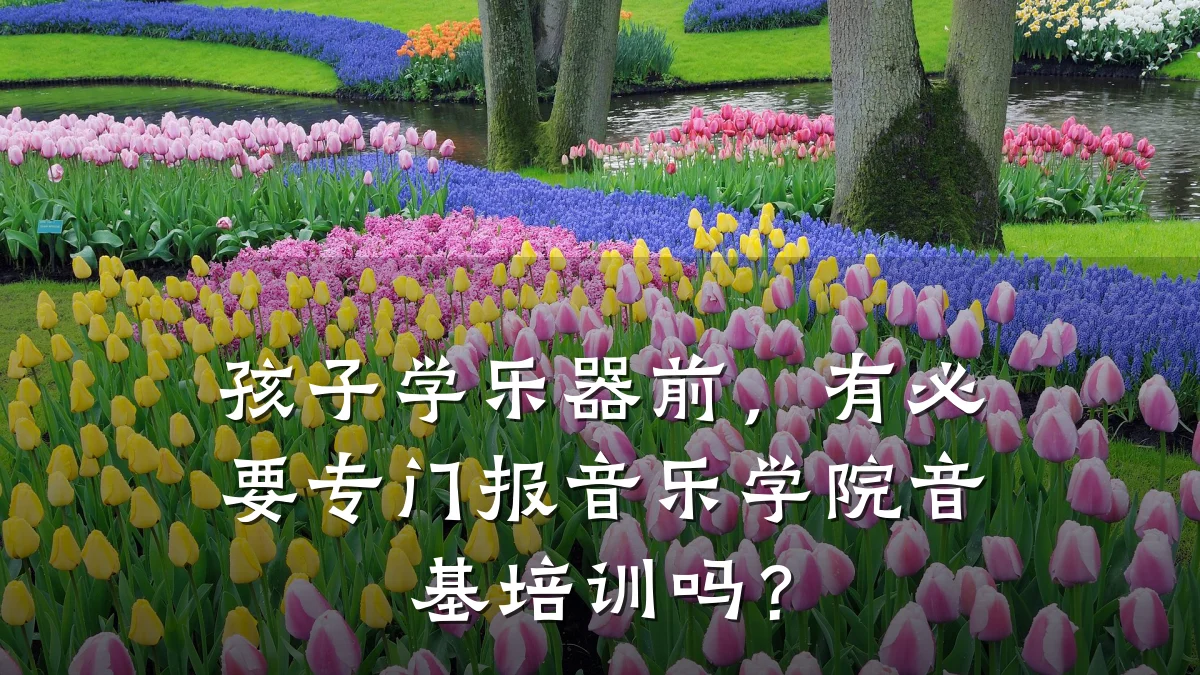 孩子学乐器前,有必要专门报音乐学院音基培训吗?
