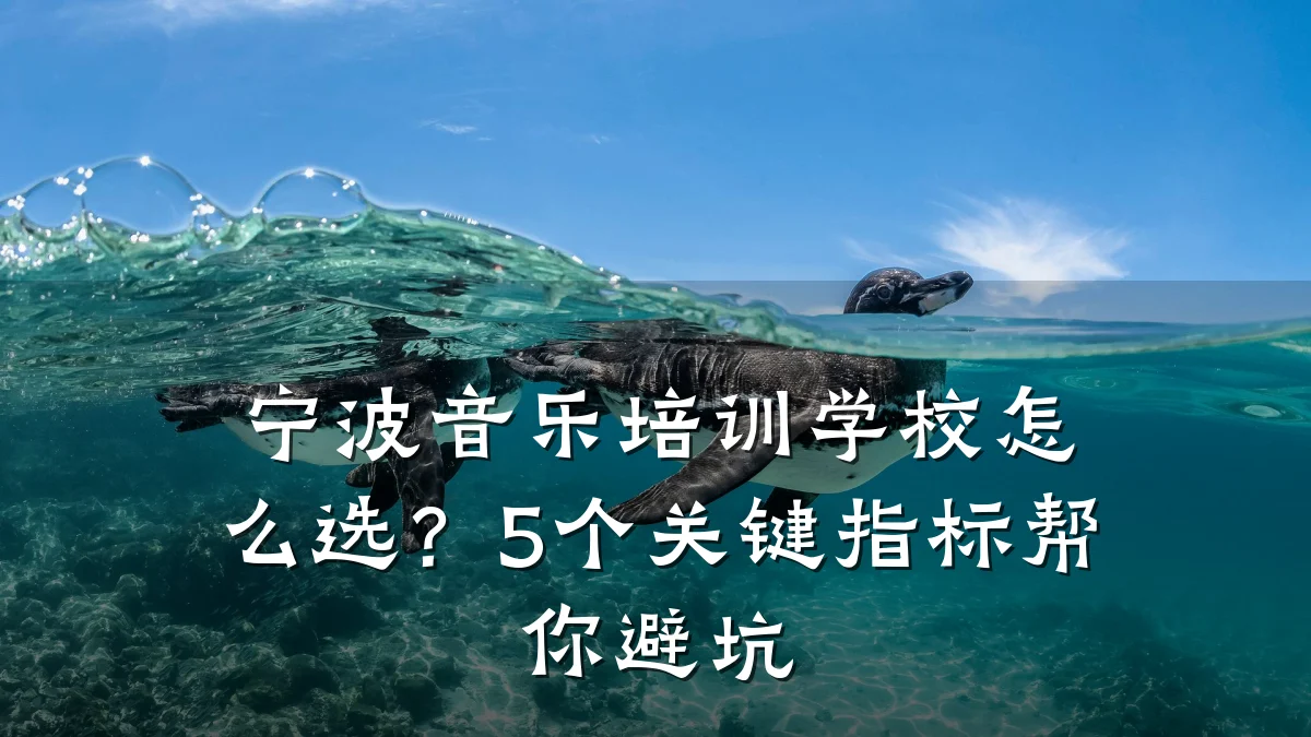 宁波音乐培训学校怎么选?5个关键指标帮你避坑