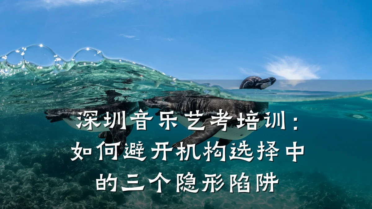 深圳音乐艺考培训:如何避开机构选择中的三个隐形陷阱