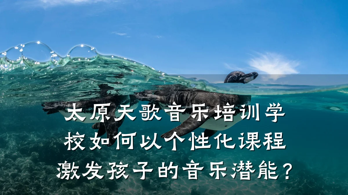 太原天歌音乐培训学校如何以个性化课程激发孩子的音乐潜能?