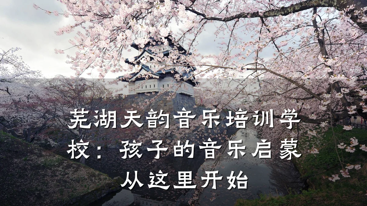 芜湖天韵音乐培训学校:孩子的音乐启蒙从这里开始