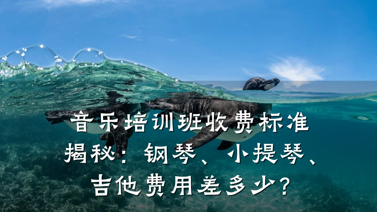 音乐培训班收费标准揭秘:钢琴、小提琴、吉他费用差多少?