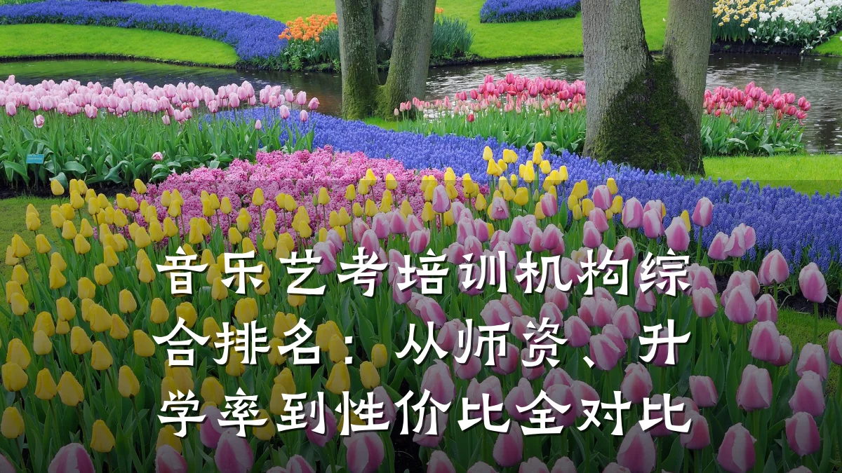 音乐艺考培训机构综合排名：从师资、升学率到性价比全对比