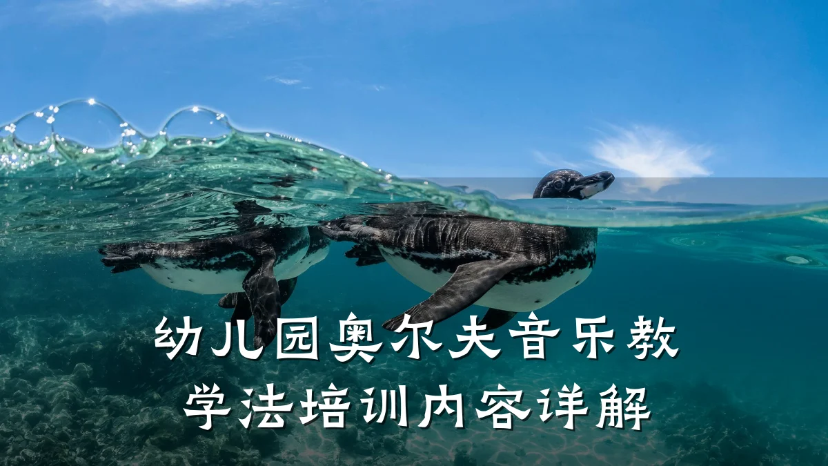 幼儿园奥尔夫音乐教学法培训内容详解