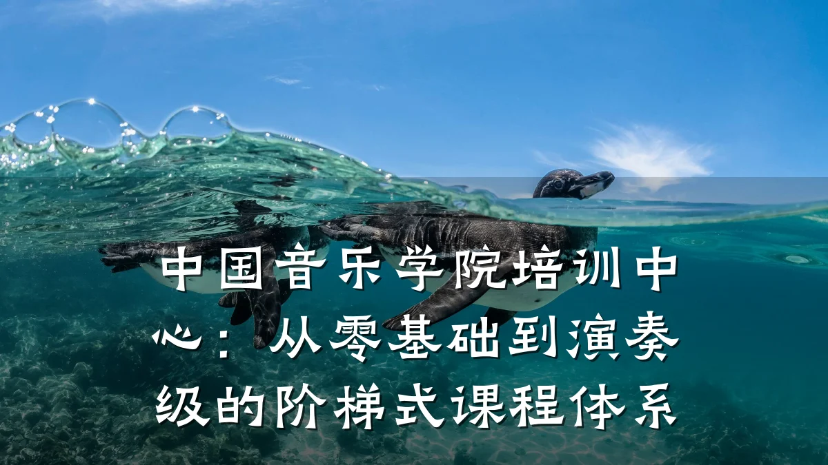 中国音乐学院培训中心：从零基础到演奏级的阶梯式课程体系