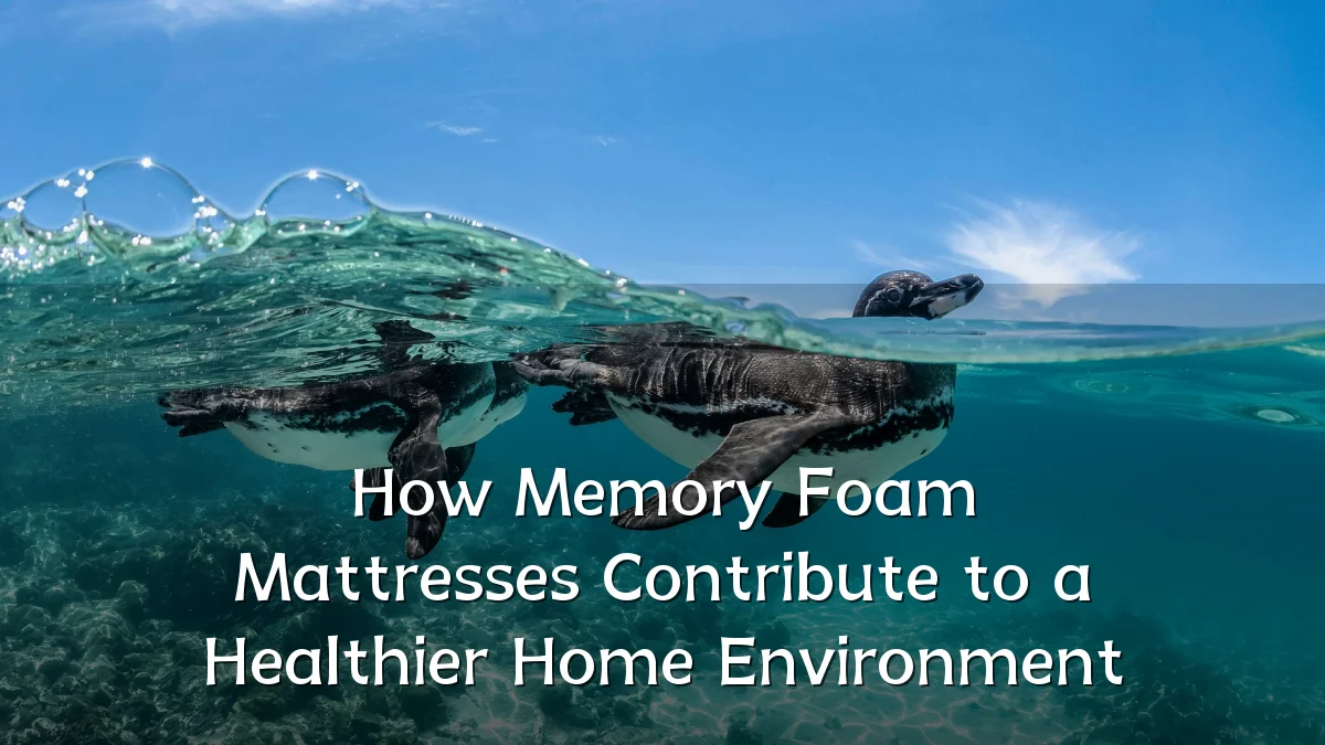 How Memory Foam Mattresses Contribute to a Healthier Home Environment