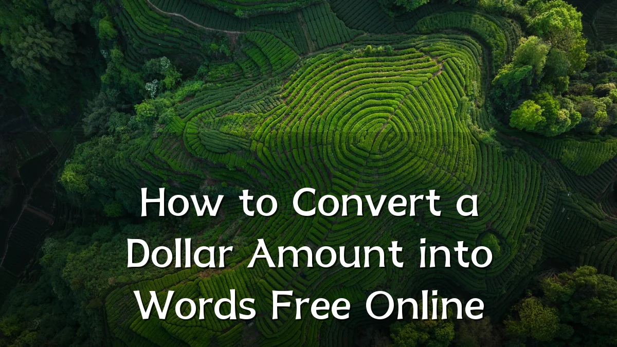 How to Convert a Dollar Amount into Words Free Online