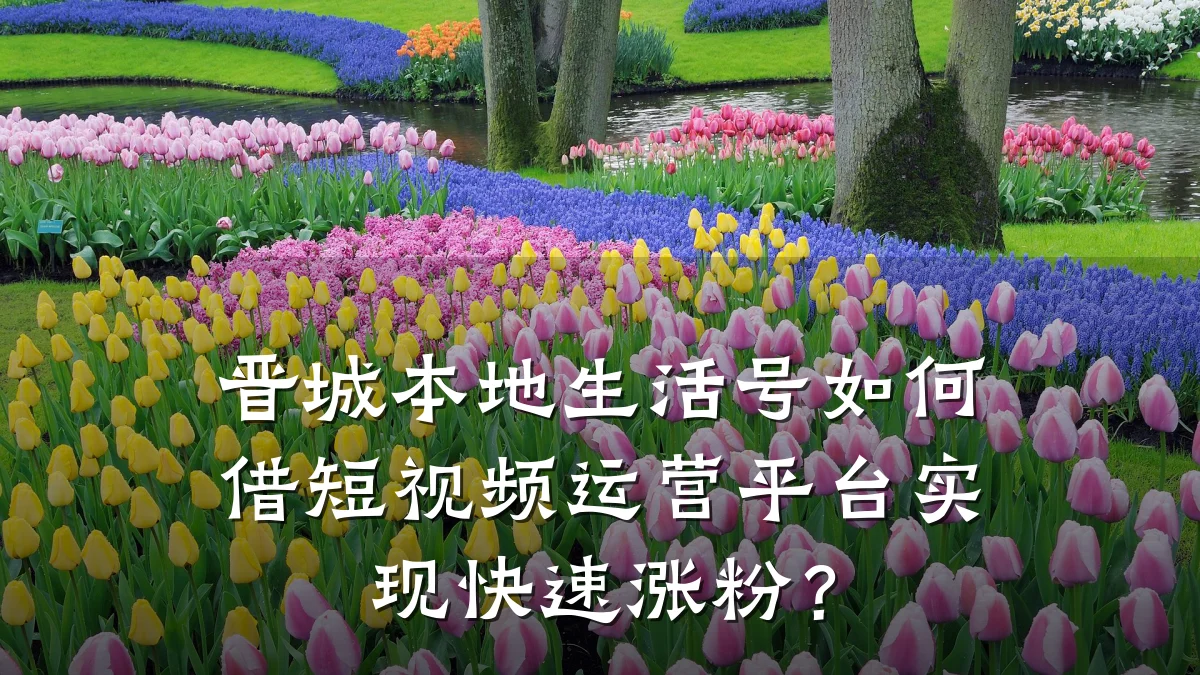 晋城本地生活号如何借短视频运营平台实现快速涨粉?