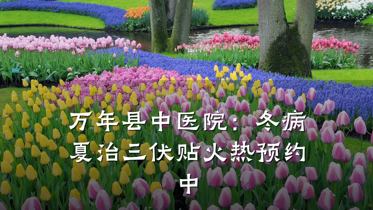 万年县中医院：冬病夏治三伏贴火热预约中