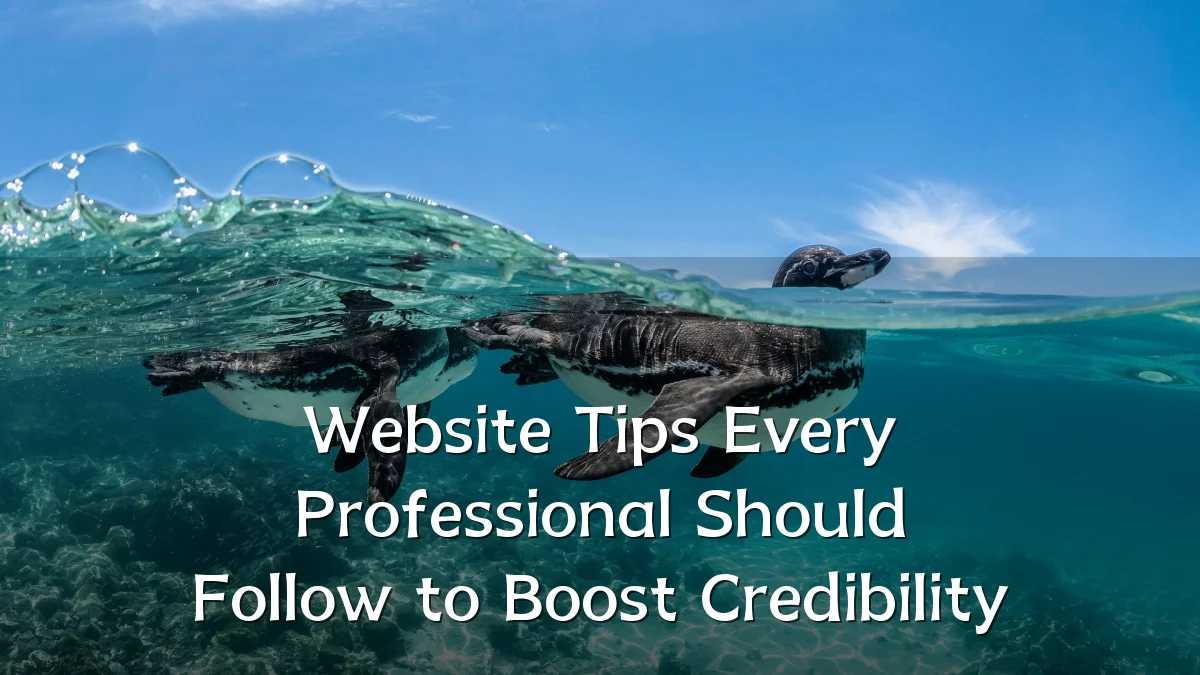 Website Tips Every Professional Should Follow to Boost Credibility