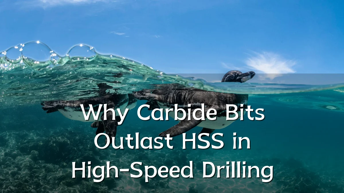Why Carbide Bits Outlast HSS in High-Speed Drilling