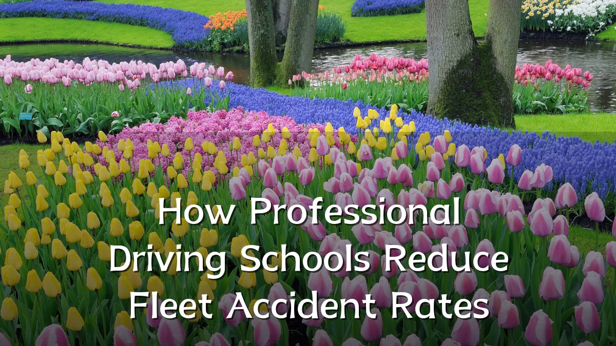 How Professional Driving Schools Reduce Fleet Accident Rates