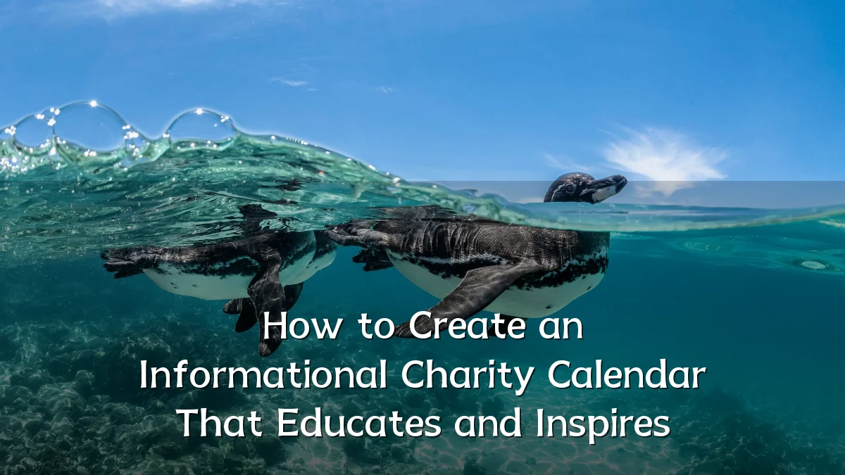 How to Create an Informational Charity Calendar That Educates and Inspires