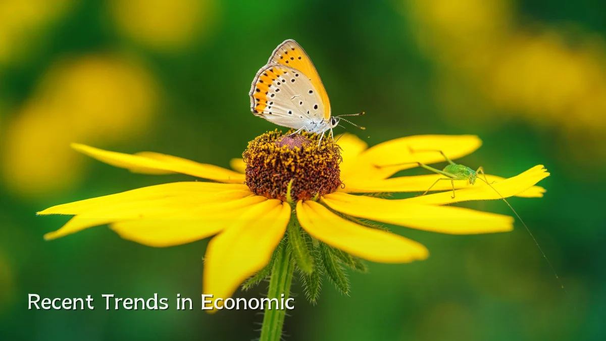 Recent Trends in Economic