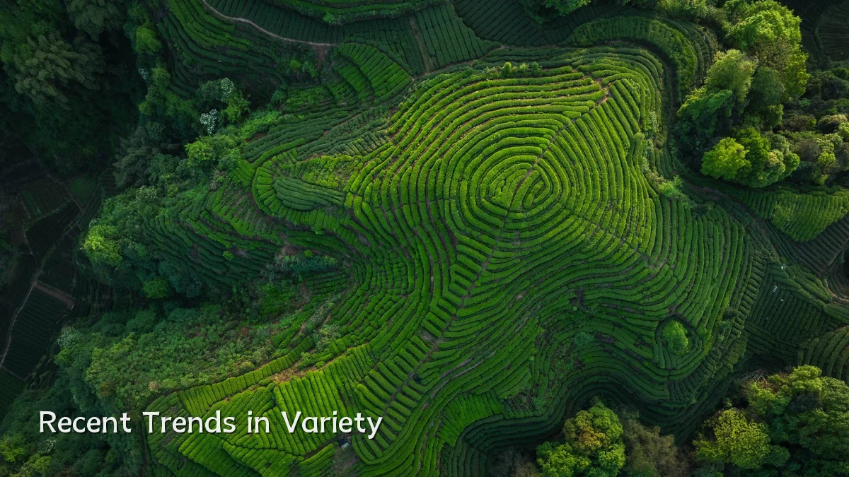 Recent Trends in Variety