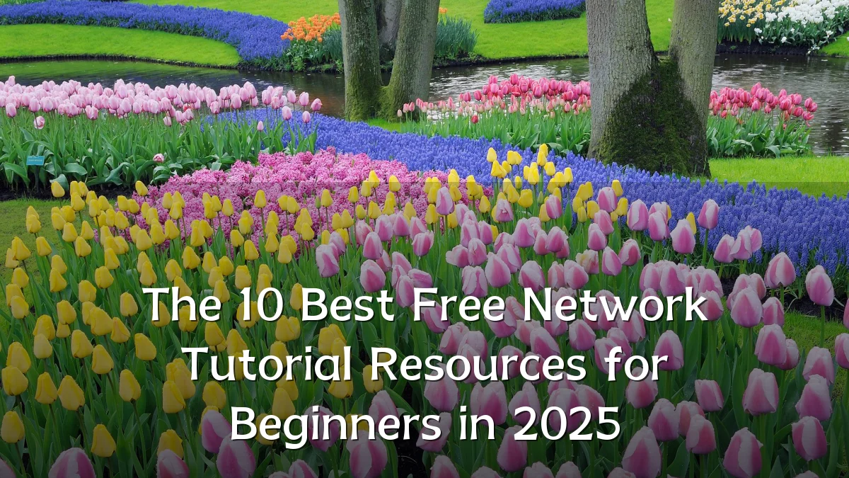 The 10 Best Free Network Tutorial Resources for Beginners in 2025