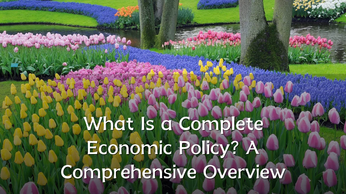 What Is a Complete Economic Policy? A Comprehensive Overview